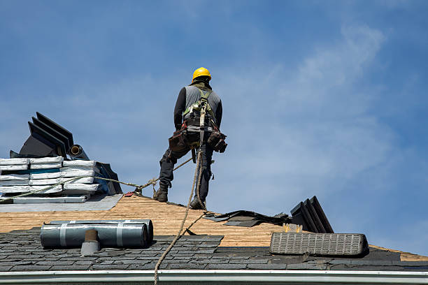 Professional Storm Damage Roof Repair technician working in Vernon, AL